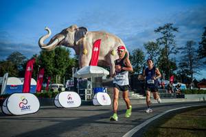 BIB: 
                            <button type="button" onclick="openModal(26541621)" class="btn btn-primary btn-sm float-right btn-popup" data-toggle="modal" data-target=".modal-high-quality">
                        <i class="fas fa-shopping-cart"></i> Add to Cart
                    </button>
                                            <button type="button" onclick="isThisMe(26541621, true)" class="btn btn-success btn-sm float-right btn-popup btn-isme hidden" data-toggle="tooltip" data-placement="bottom" title="นี่คือรูปของคุณใช่ไหม คลิกที่นี่เพื่อเอาเข้าอัลบั้ม">
                        <i class="fas fa-plus"></i> Add to album
                    </button>
                    <button type="button" onclick="isThisMe(26541621, false)" class="btn btn-warning btn-sm float-right btn-popup btn-isnotme hidden">
                        <i class="fas fa-ban"></i> Remove from album
                    </button>